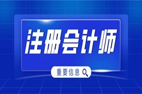 聊聊注冊(cè)會(huì)計(jì)師的審計(jì)權(quán)