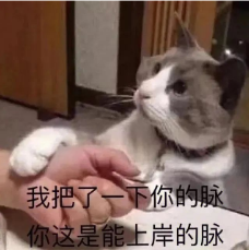 考公先拿考研當(dāng)跳板，試試考研選這些專業(yè)“真香”！